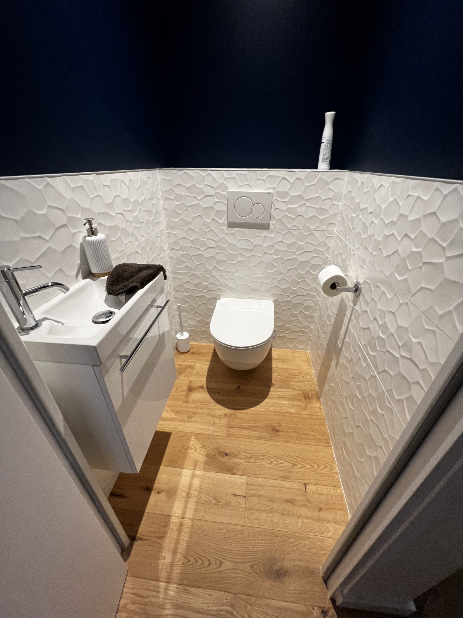 Pose de paquet dans des WC à La Baule